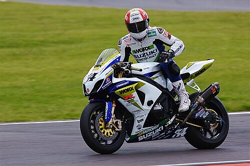 Michael Rutter (photo from Wikimedia Commons)